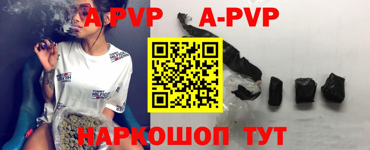 Alfa_PVP СК Каменка