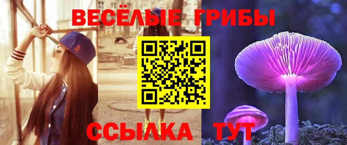 Псилоцибиновые грибы Psilocybe  Вход с VPN  даркнет сайт  Каменка 